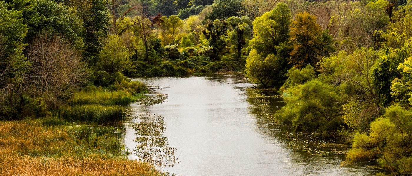 The Marina Grand Resort is situated in Harbor Country, where there are so many wonderful things to do in every season, including kayak the Galien River A couple kayaks the Galien River surrounded by trees and thick grasses in this drone aerial photo