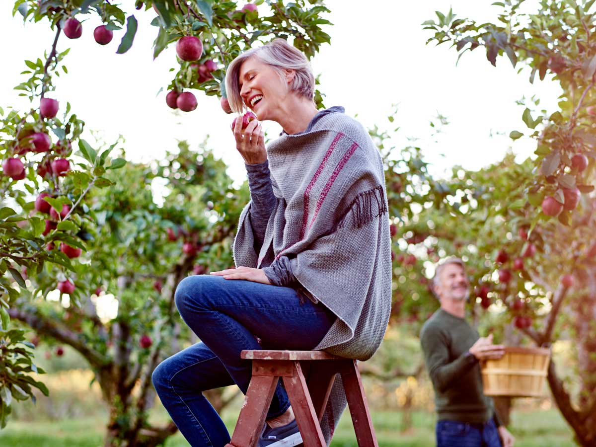 Woman sitting on a ladder takes a bite out of an apple at a Michigan u-pick orchard